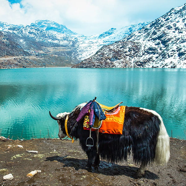 Tsomgo Lake